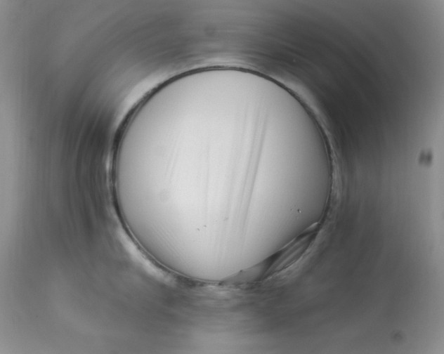 X0000112900910200909181933