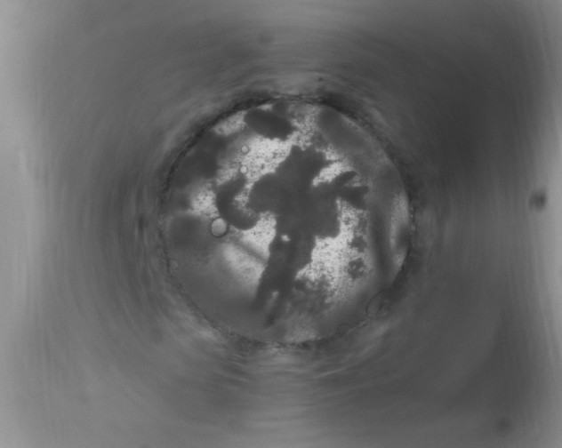 X0000112900913200909181932