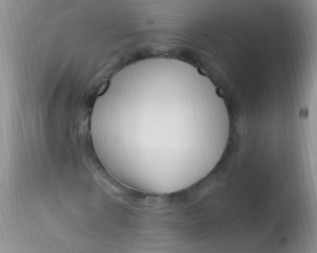 X0000112900914200909181932