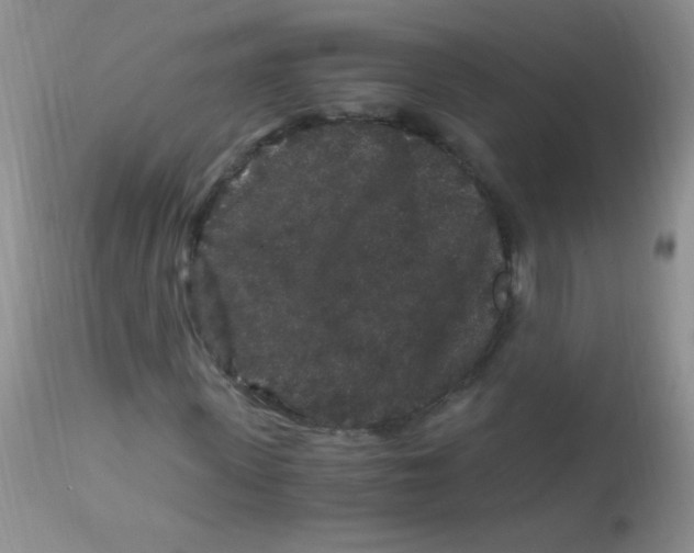 X0000112900915200909181932