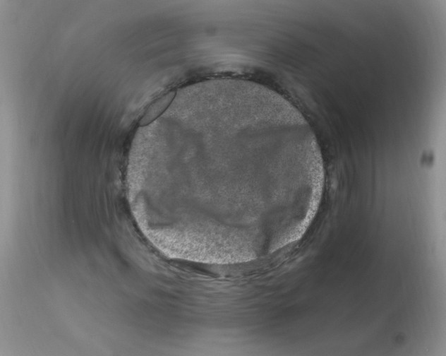 X0000112900916200909181932
