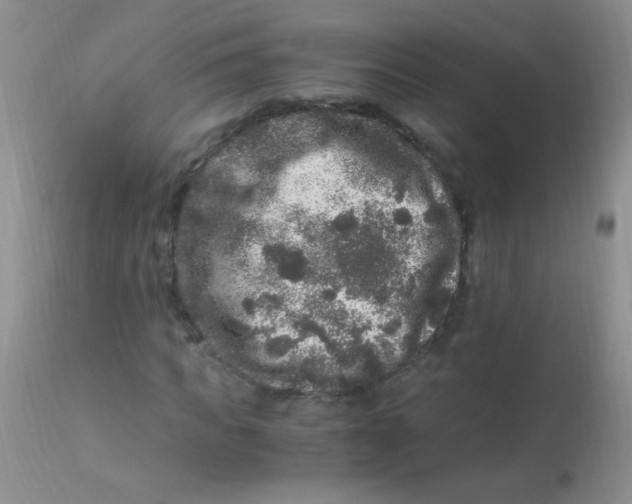 X0000112900917200909181932