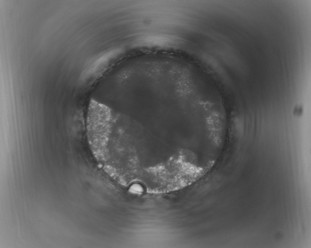 X0000112900918200909181932