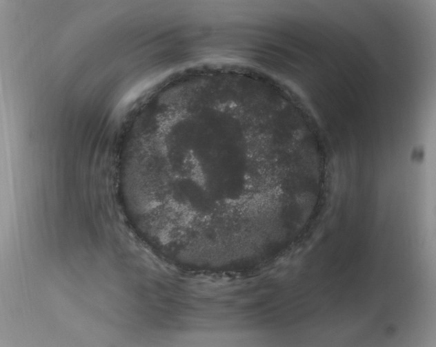 X0000112900919200909181932