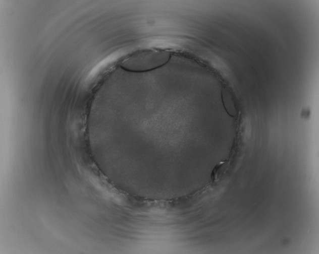 X0000112900920200909181932
