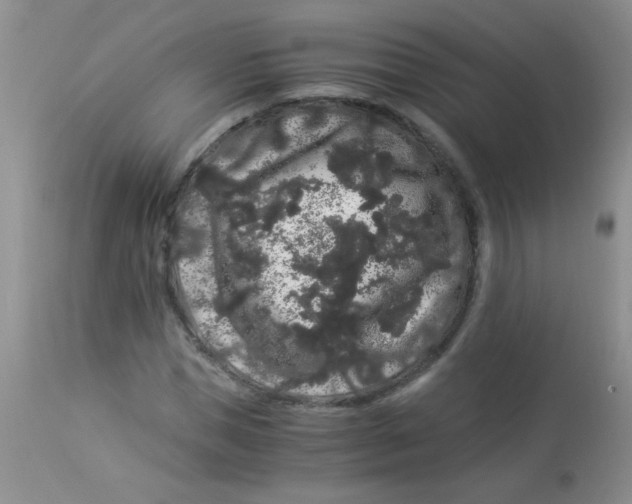 X0000112900921200909181932