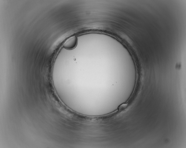 X0000112900922200909181932