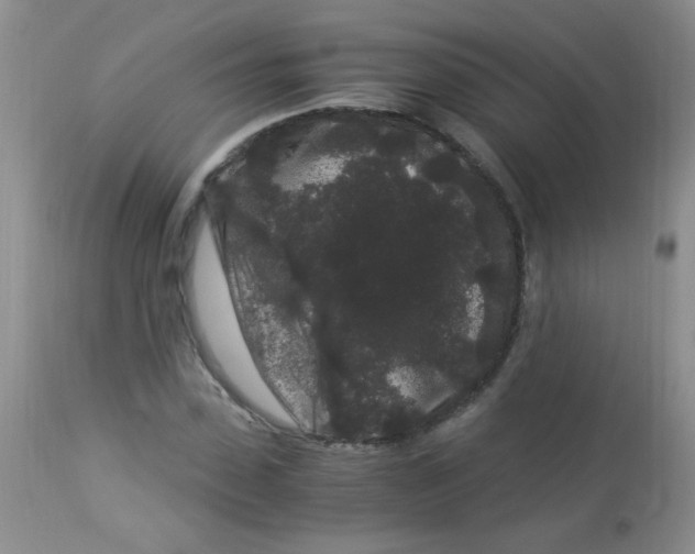 X0000112900923200909181932
