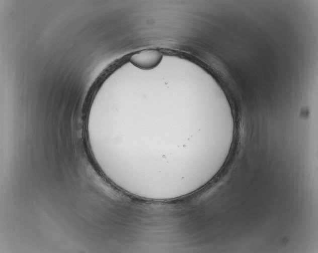 X0000112900924200909181932