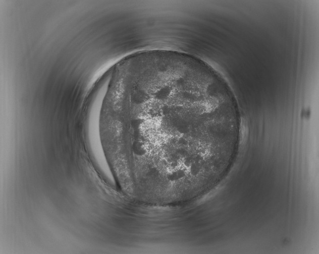 X0000112900925200909181932