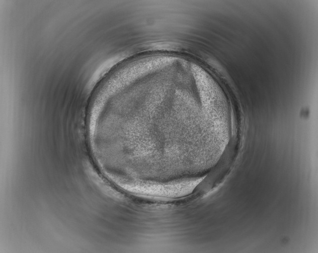 X0000112900930200909181932