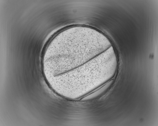 X0000112900932200909181932