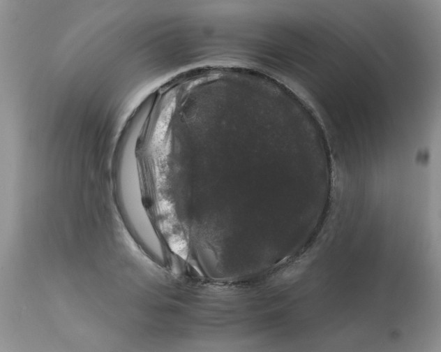 X0000112900935200909181932
