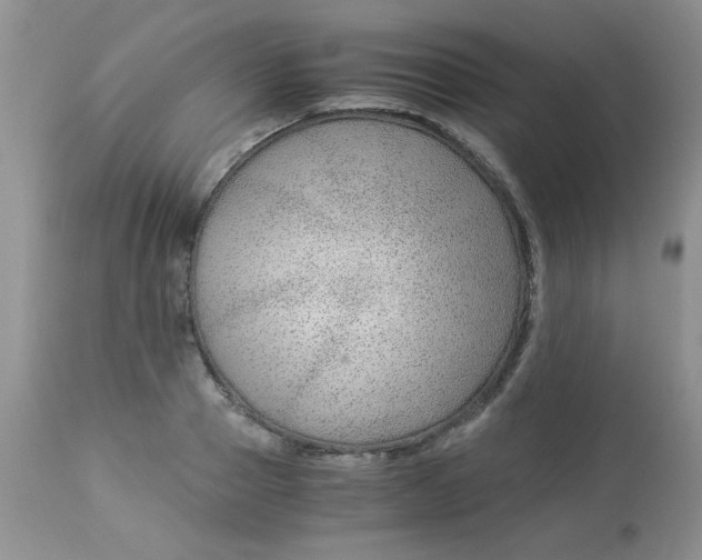 X0000112900937200909181932