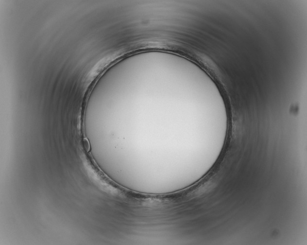 X0000112900938200909181932