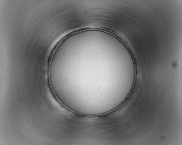 X0000112900939200909181932