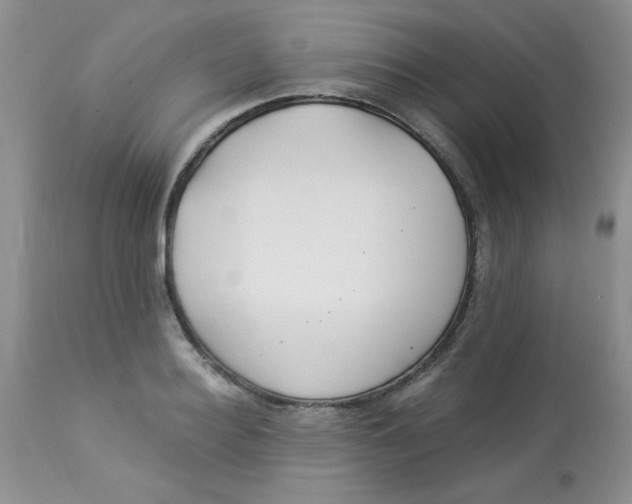 X0000112900940200909181932