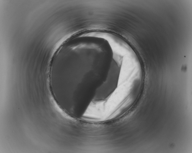 X0000112900941200909181932