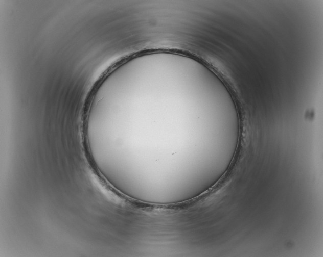 X0000112900942200909181932