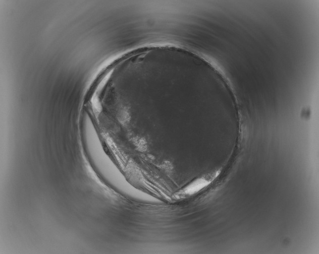 X0000112900943200909181933