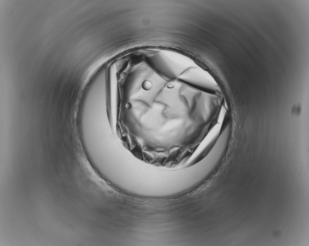 X0000112900944200909181933