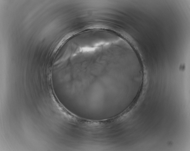 X0000112900945200909181933