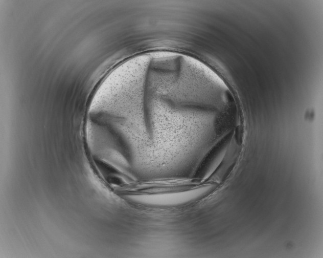 X0000112900946200909181933