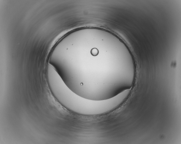 X0000112900948200909181933