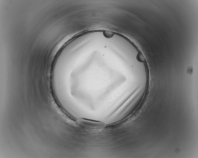 X0000112900949200909181933