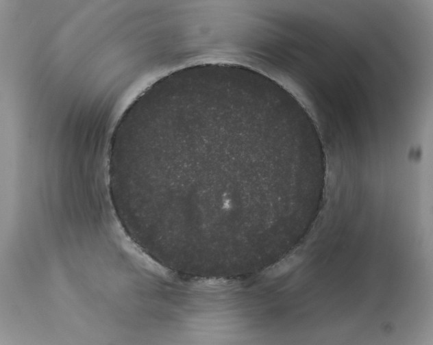 X0000112900950200909181933