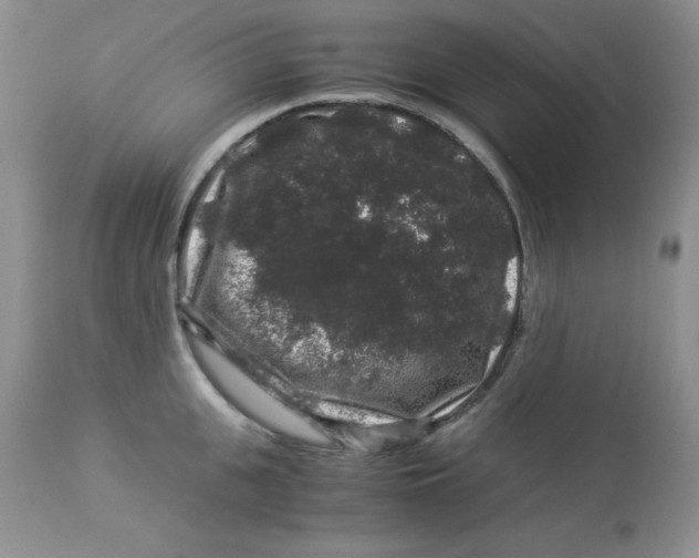 X0000112900951200909181933