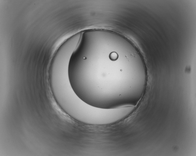 X0000112900952200909181933