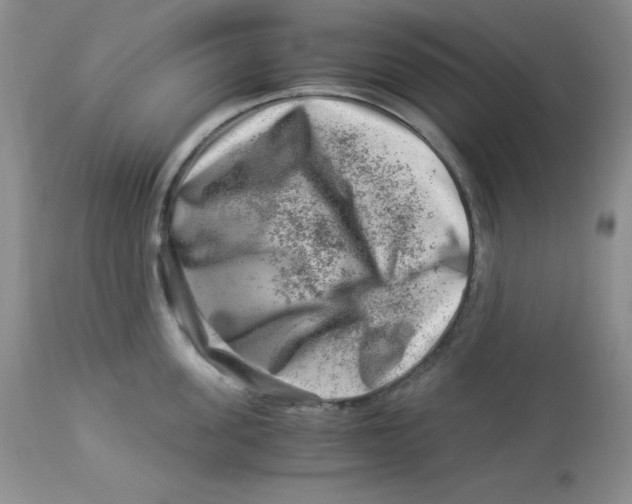 X0000112900955200909181933