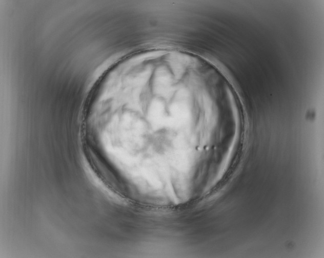 X0000112900957200909181933