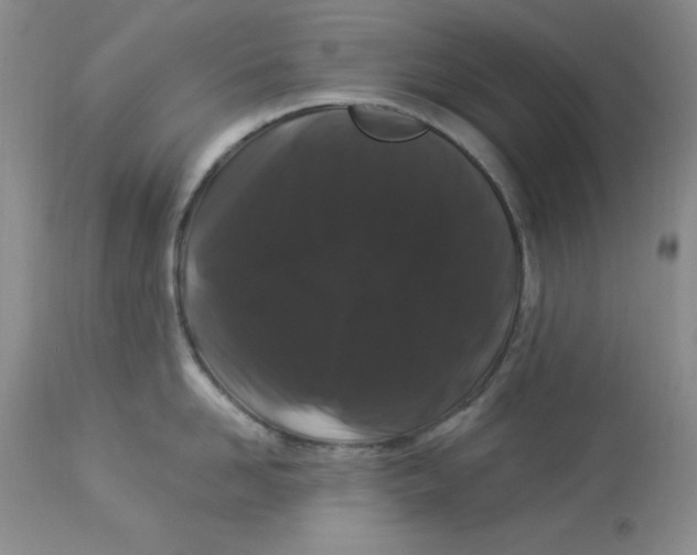 X0000112900958200909181933