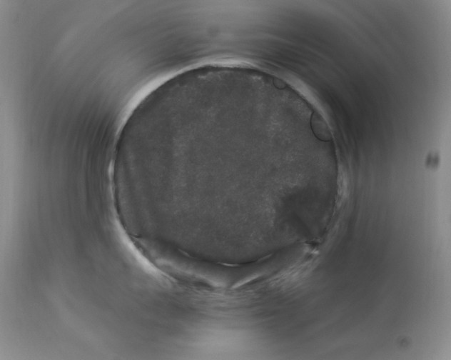 X0000112900959200909181933