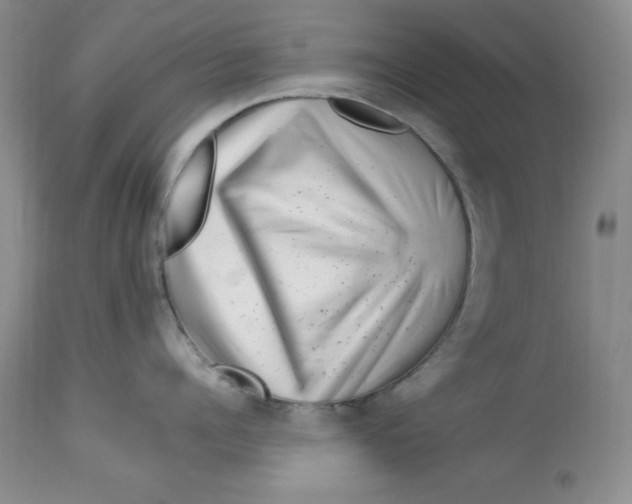X0000112900960200909181933