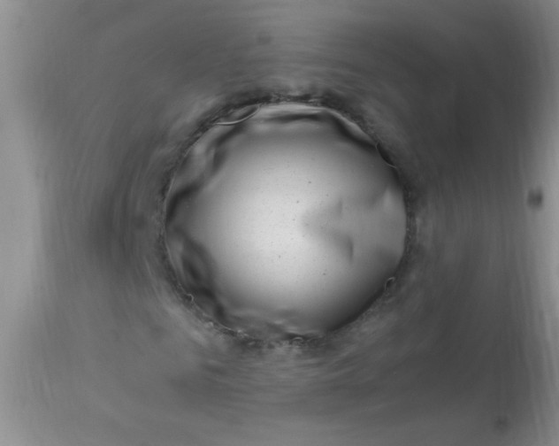 X0000112900961200909181932
