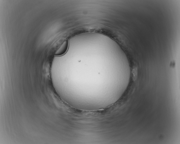 X0000112900963200909181932