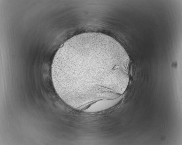 X0000112900964200909181932