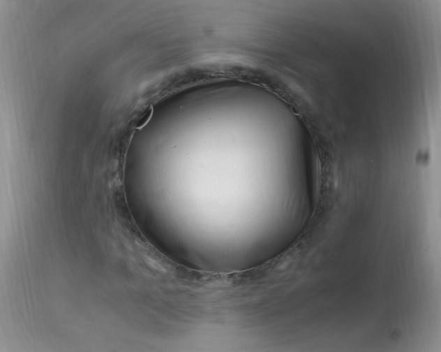 X0000112900965200909181932