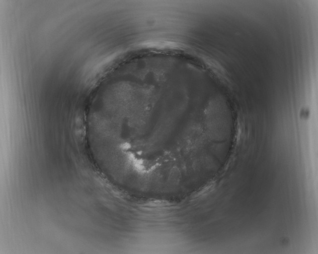 X0000112900966200909181932