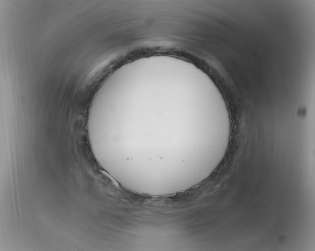 X0000112900967200909181932