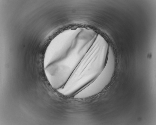 X0000112900968200909181932
