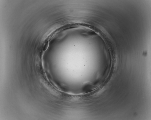 X0000112900969200909181932