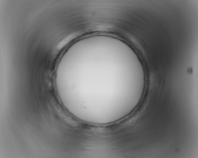 X0000112900970200909181932