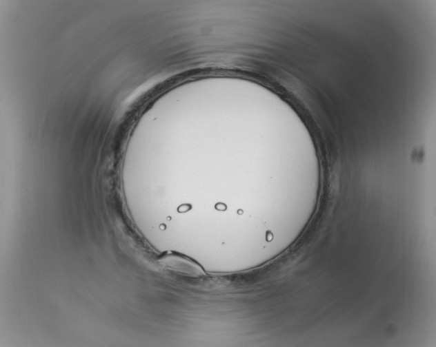 X0000112900971200909181932