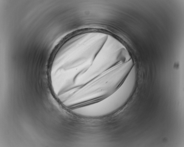 X0000112900972200909181932