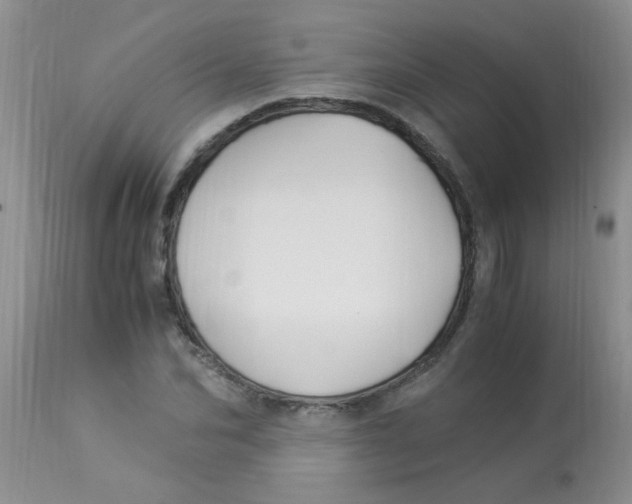 X0000112900974200909181932