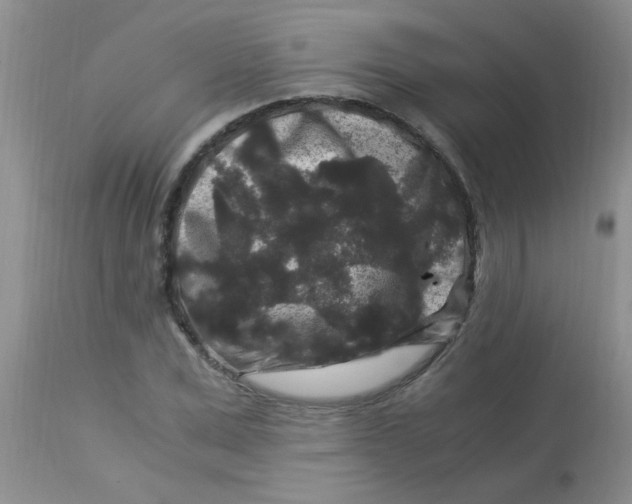 X0000112900975200909181932